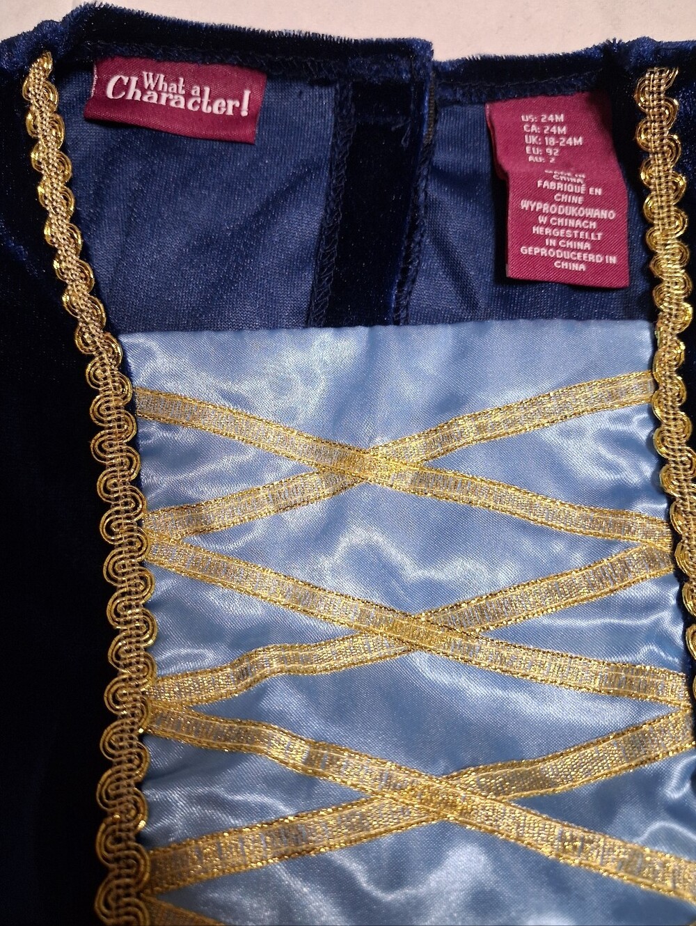 Classic Yellow & Blue Princess Tulle Costume Dress for Kids - Picture 3 of 4